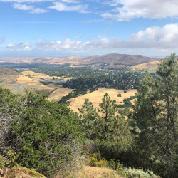 Mt. Diablo